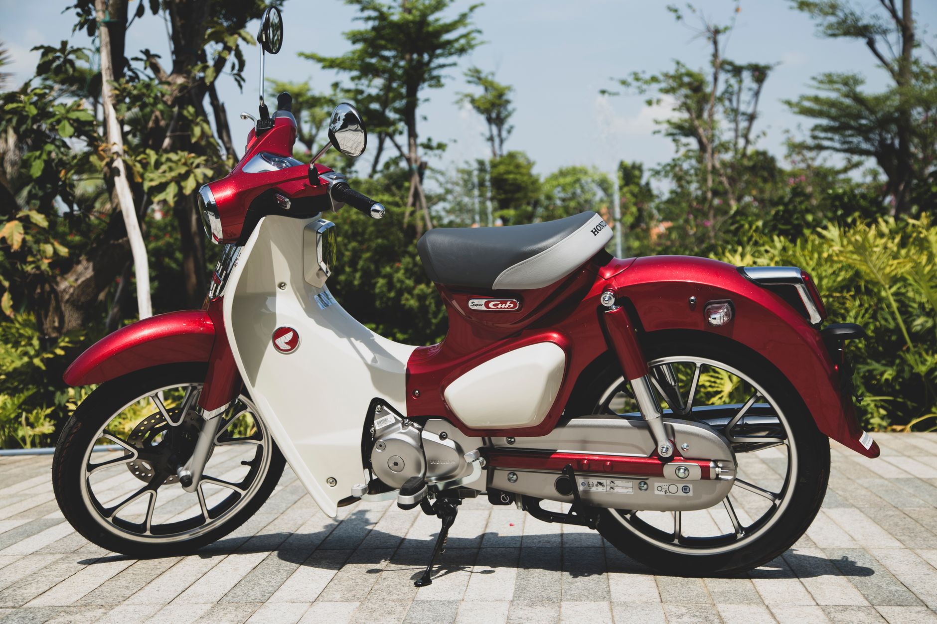 Honda Pop 110i 2026 vista lateral